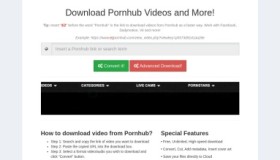 Pornhub Downloader